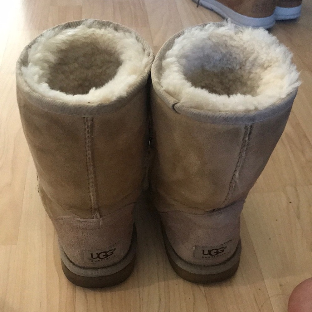 Authentic UGG Boots